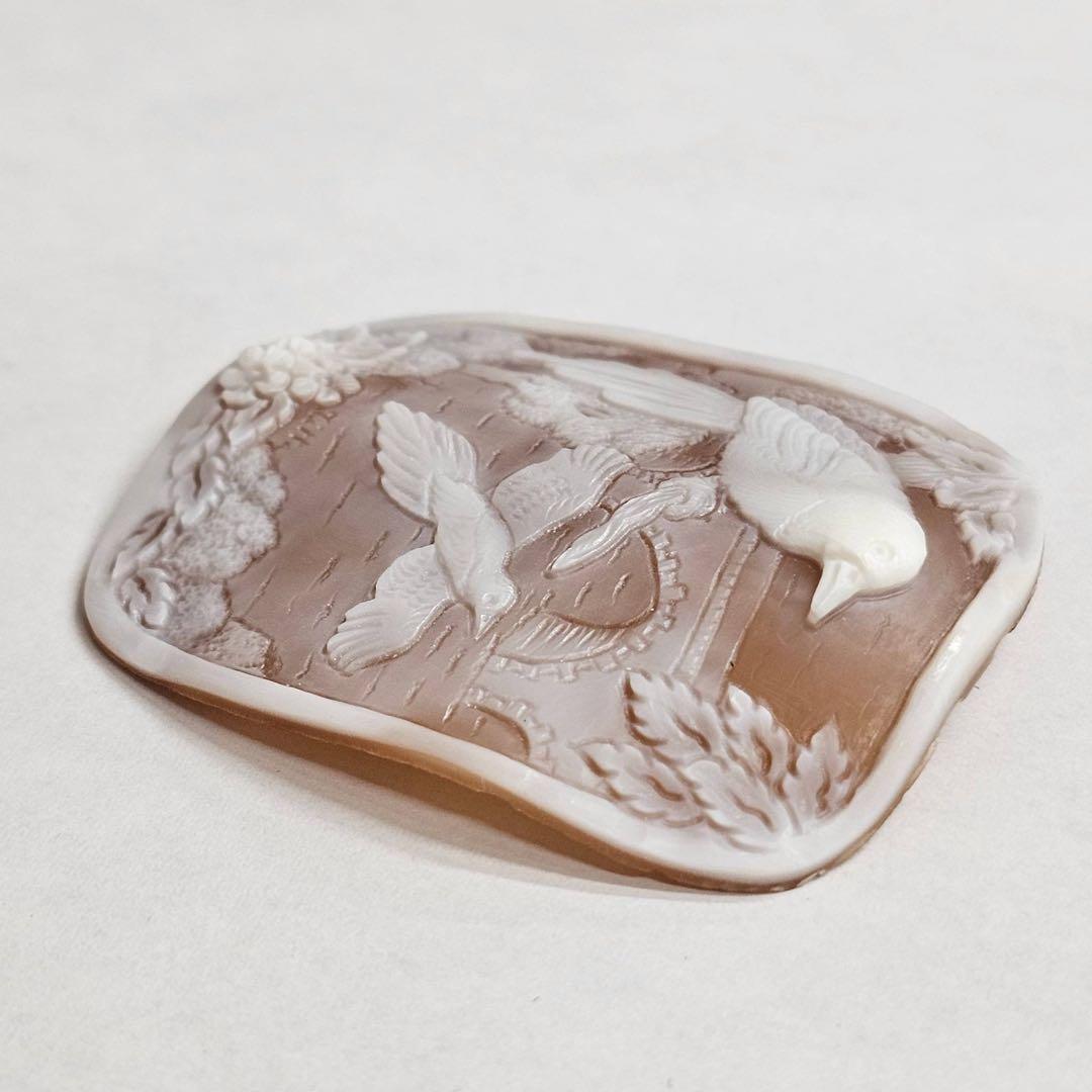 【F•R•ティッタ作】シェルカメオ ルース