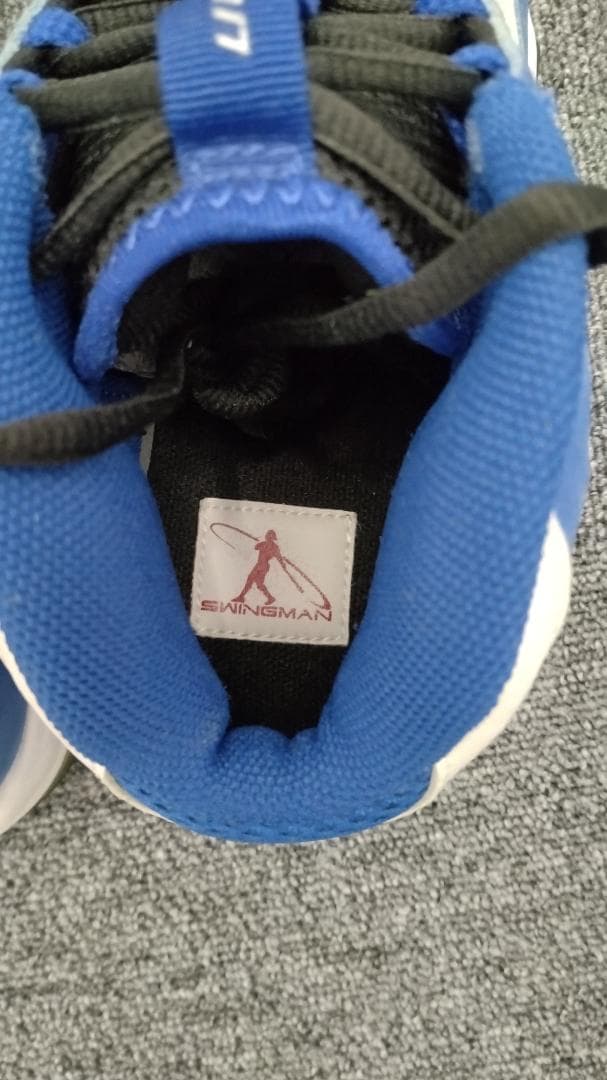 【中古・未発売 26cm】Nike Air Max Swingman Remix