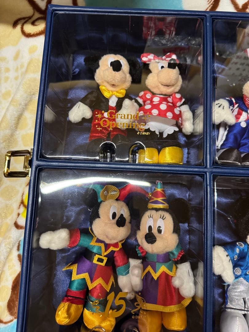 東京ディズニーリゾート30周年限定 ぬいばセット　ミッキー　ミニー　希少　レア