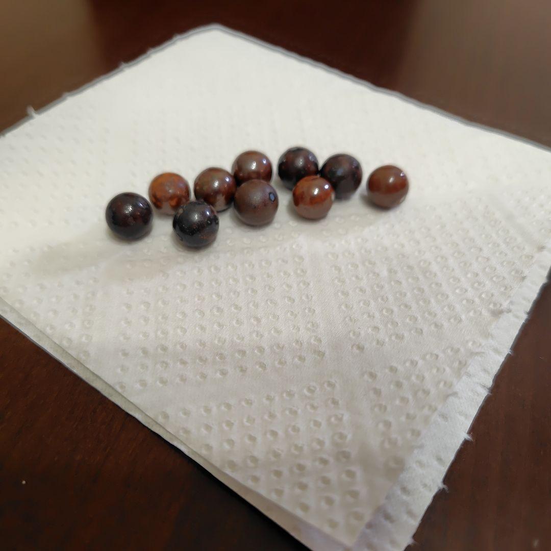 ワールドレップサービス　アースボール10個