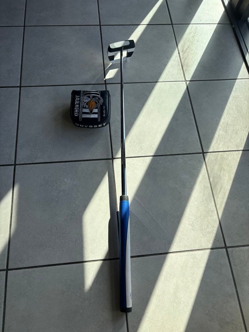 オデッセイ　Ai-ONE Squaqe 2 Square ジェイルバード　33