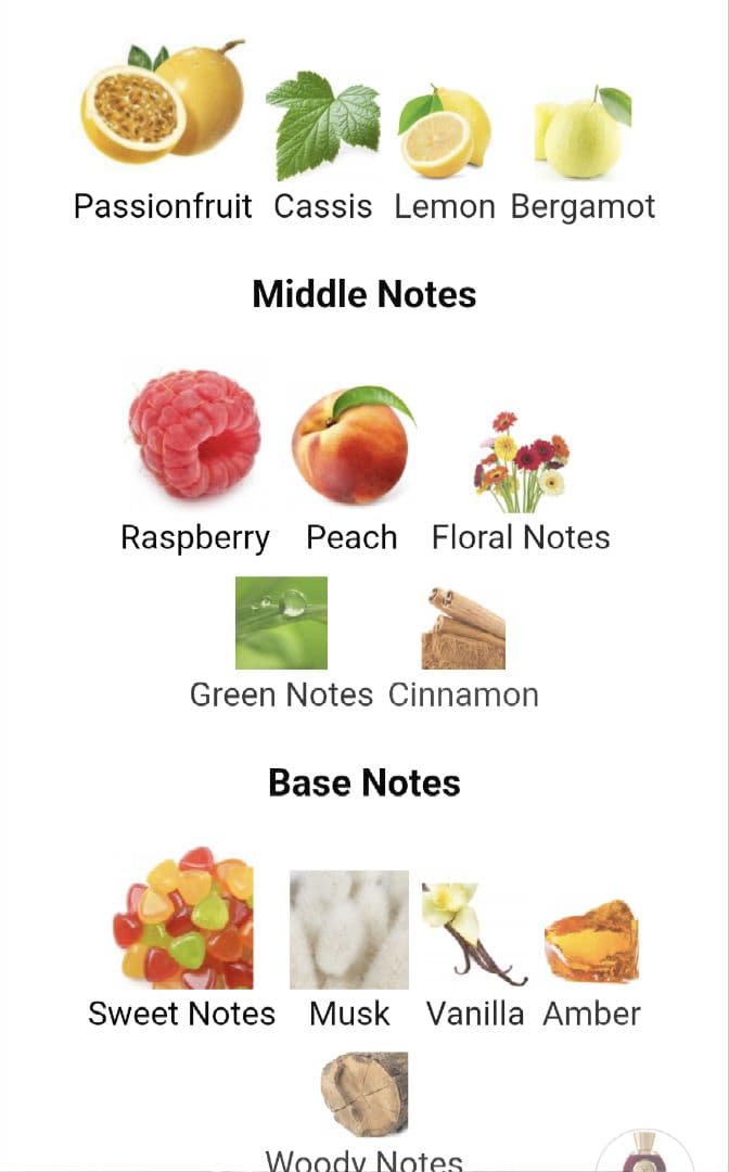 V Canto.Stricnina香水.100ml.