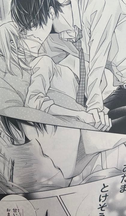 黒崎くんの言いなりになんてならない1～15巻＋黒王子の言いなりになりたい