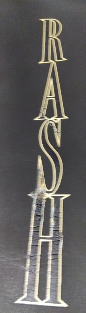 【未使用】【L】 RASH フロントジップ ノースリーブ タッパー