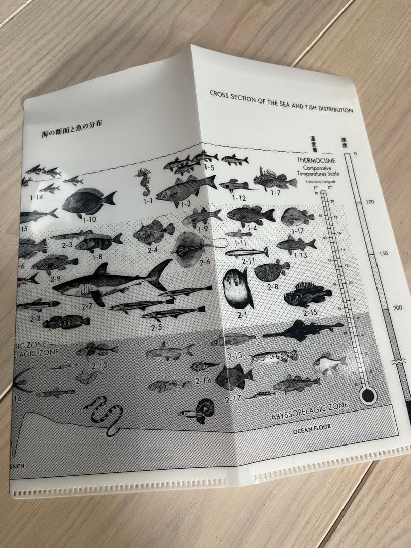 サカナクション　魚図鑑　初回生産限定盤　2CD＋ブルーレイ