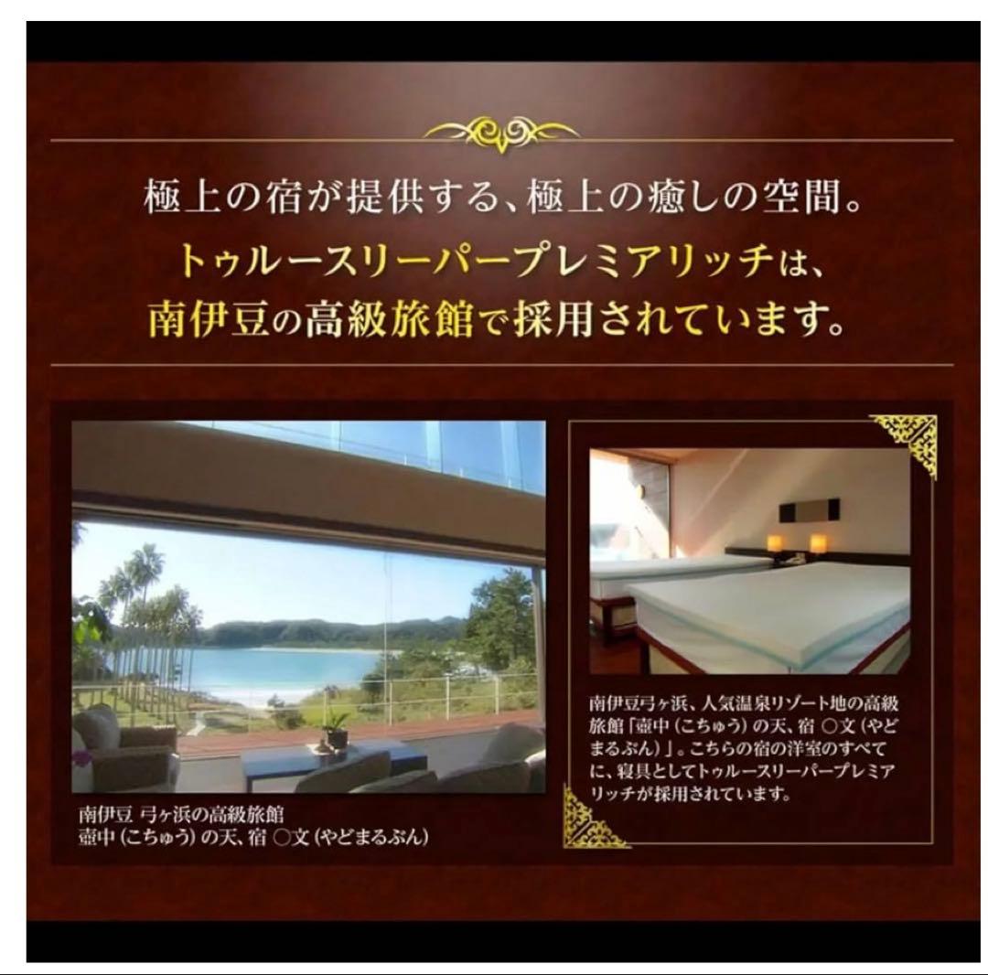 【美品】True Sleeper プレミアリッチ シングル