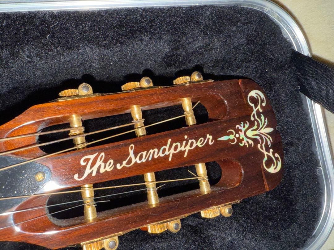 C*w様 ARIA ”THE SANDPIPER”SP-100CE Natura