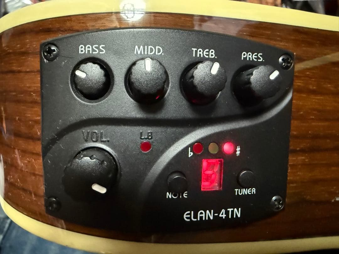 C*w様 ARIA ”THE SANDPIPER”SP-100CE Natura