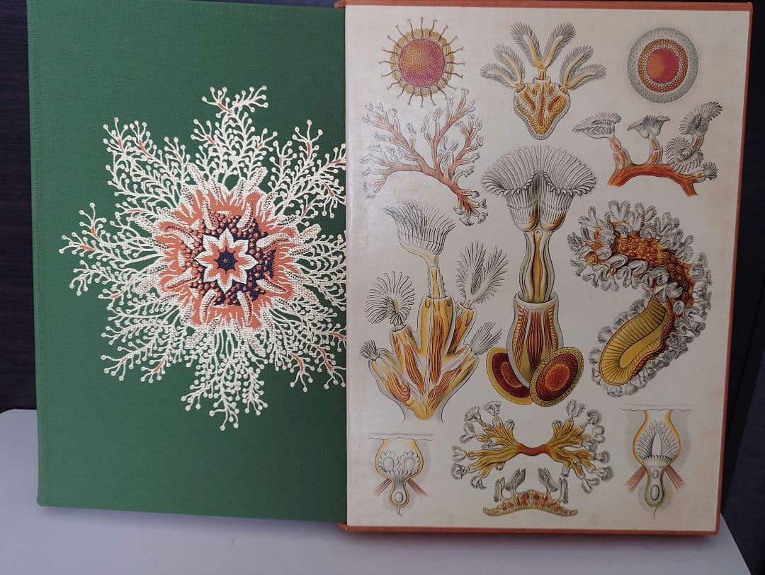 超稀少　洋書　古書　ウィリアム・シェイクスピア等