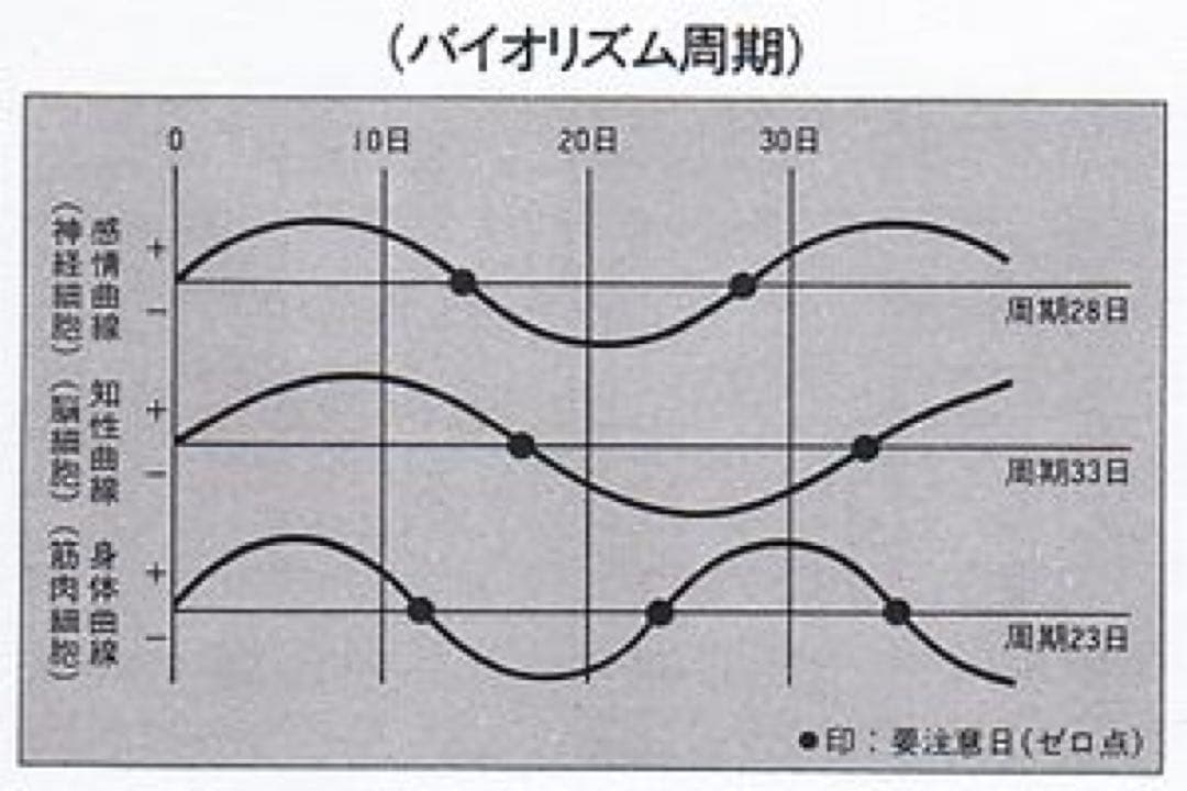 【稀少品！残り1個！】政木式バイオリズム計　政木和三　占い　運勢　健康　運命