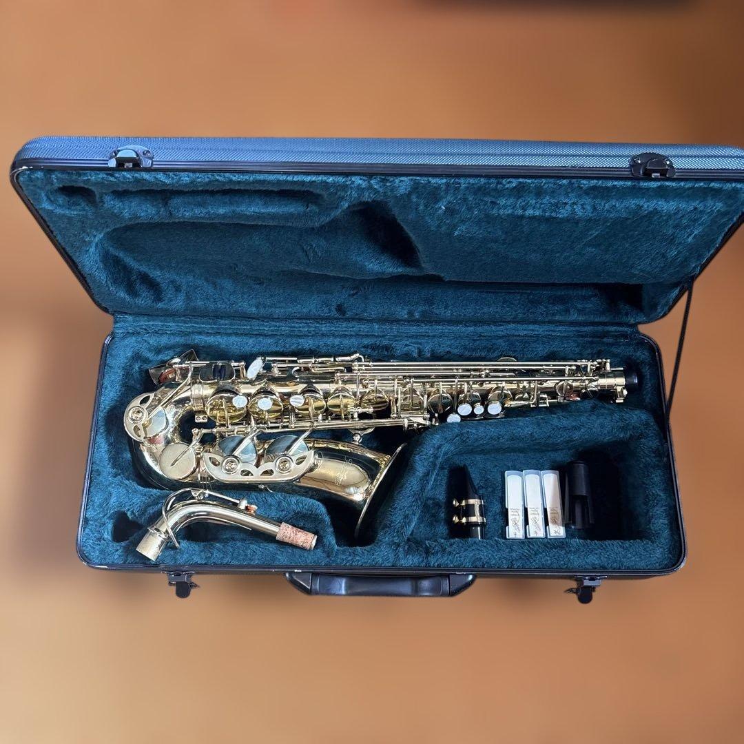 Kaerntner ケルントナー　アルトサックス 本体とケース付き