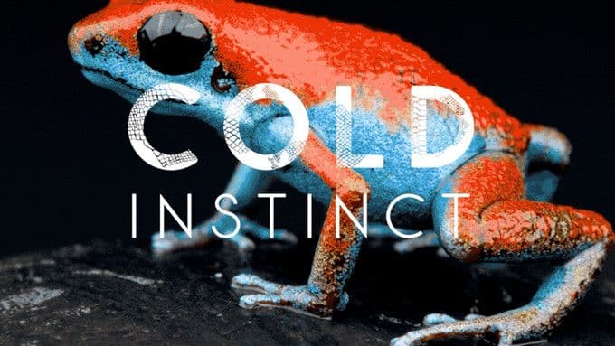 アート・デザイン・音楽 cold instinct