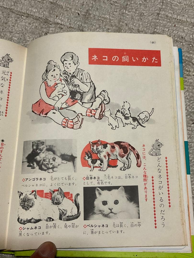 昭和47年3月10日第4刷発行／小学館入門百科シリーズ4。ペットの飼い方。