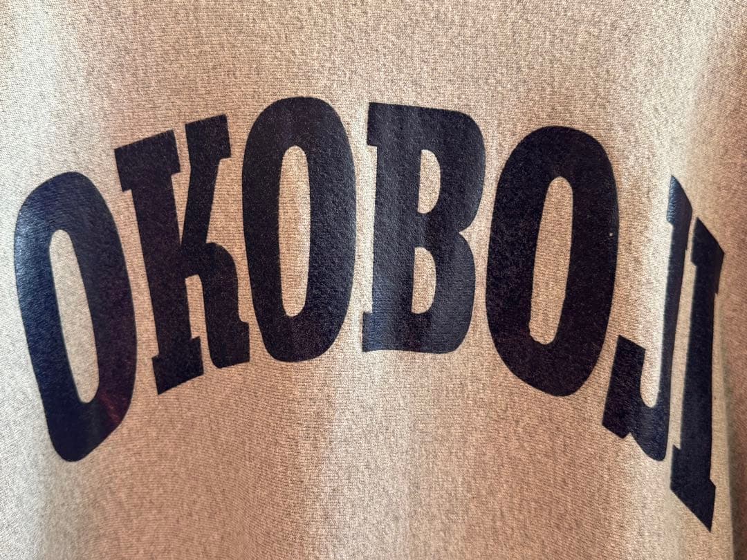 CHAMPION OKOBOJI XL バックプリント　リバースウェーブ　90s