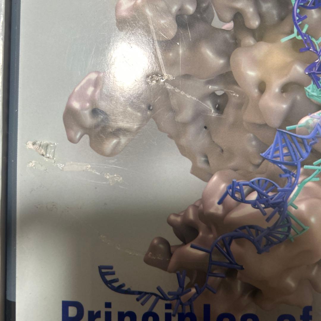 レーニンジャーの新生化学 第7版 上下セット