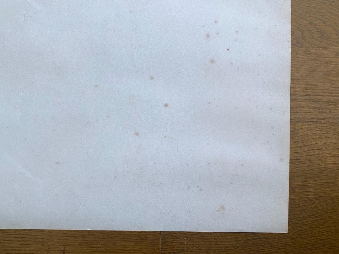 レ*オ様 横尾忠則　ポスター「AMAZON、アマゾン」 1989年