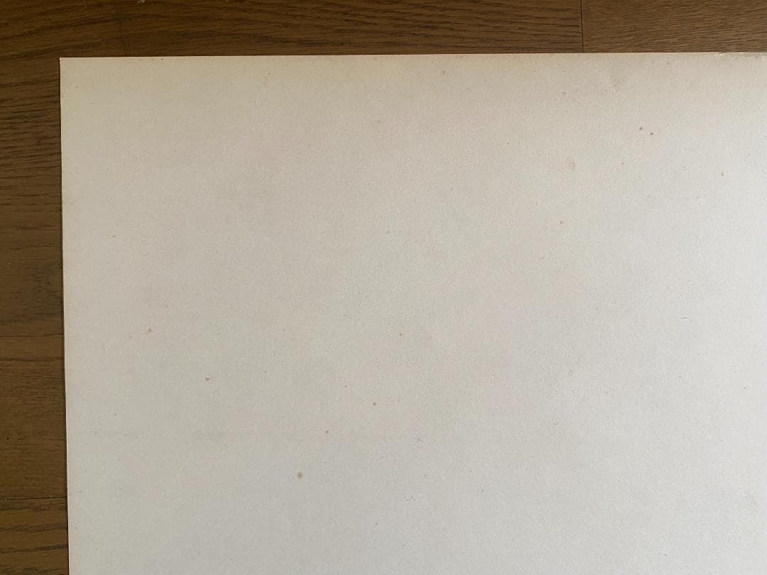 レ*オ様 横尾忠則　ポスター「AMAZON、アマゾン」 1989年