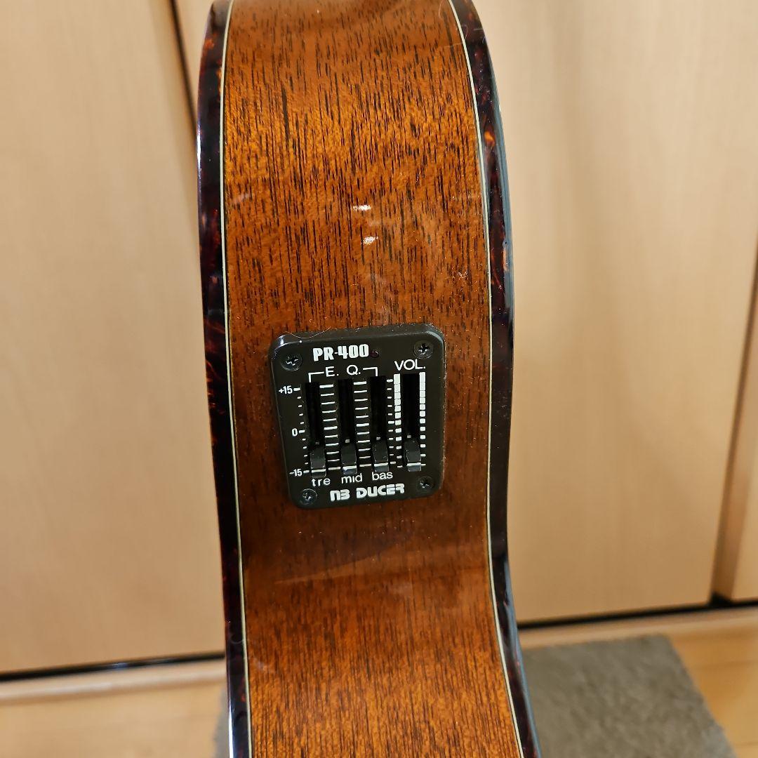 【エレアコ】The Sandpiper Deluxe アコースティックギターです