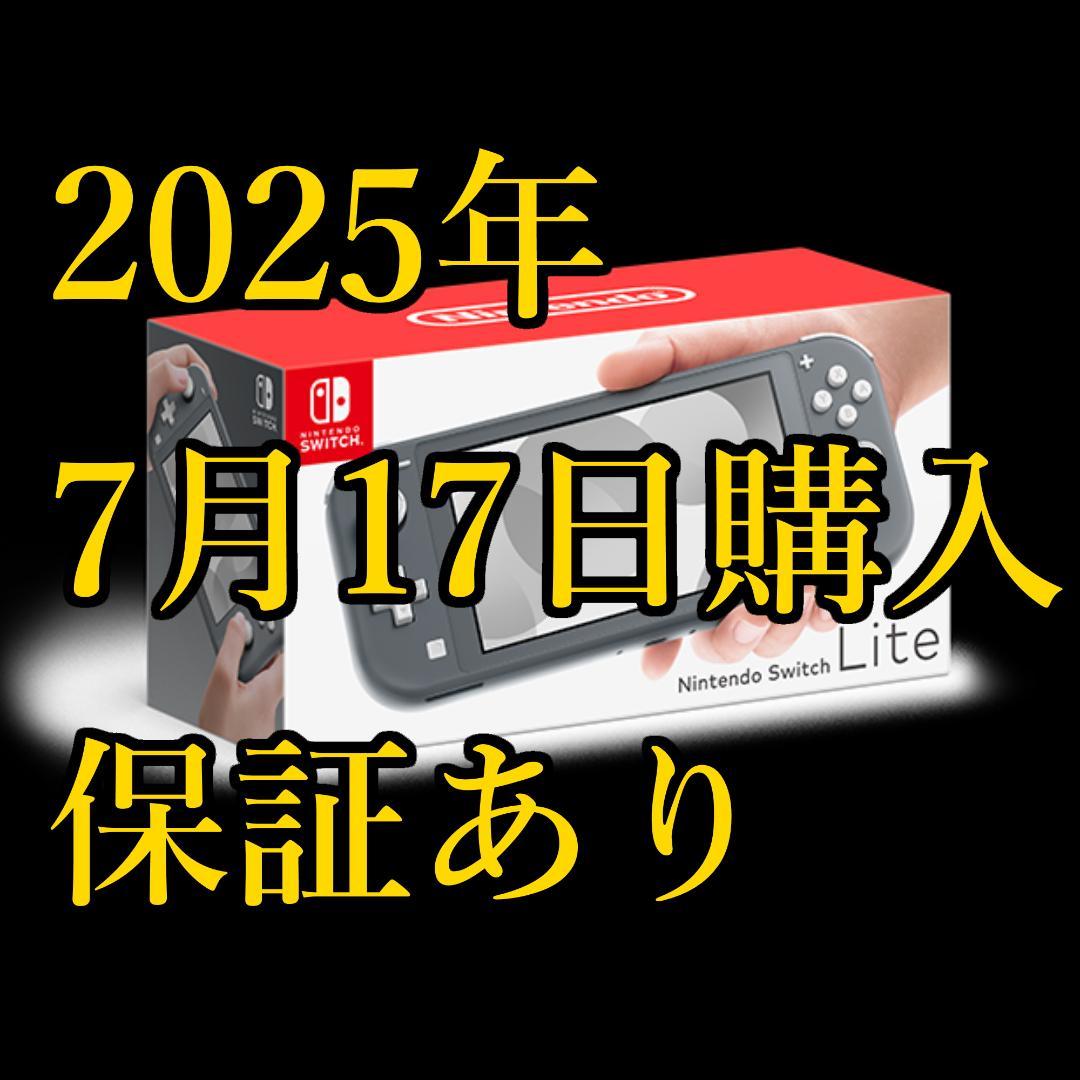 【ほぼ未使用】 Nintendo Switch Lite 本体 グレー