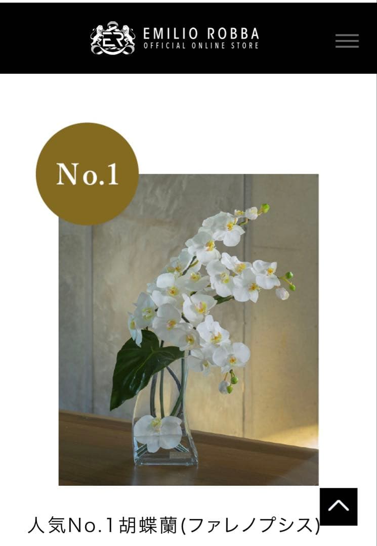 エミリオロバ（EMILIOROBBA）　エミリオロバ