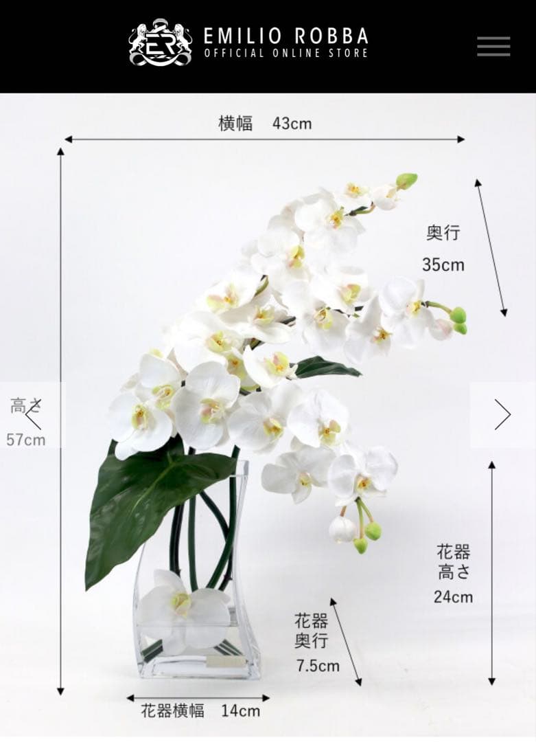 エミリオロバ（EMILIOROBBA）　エミリオロバ