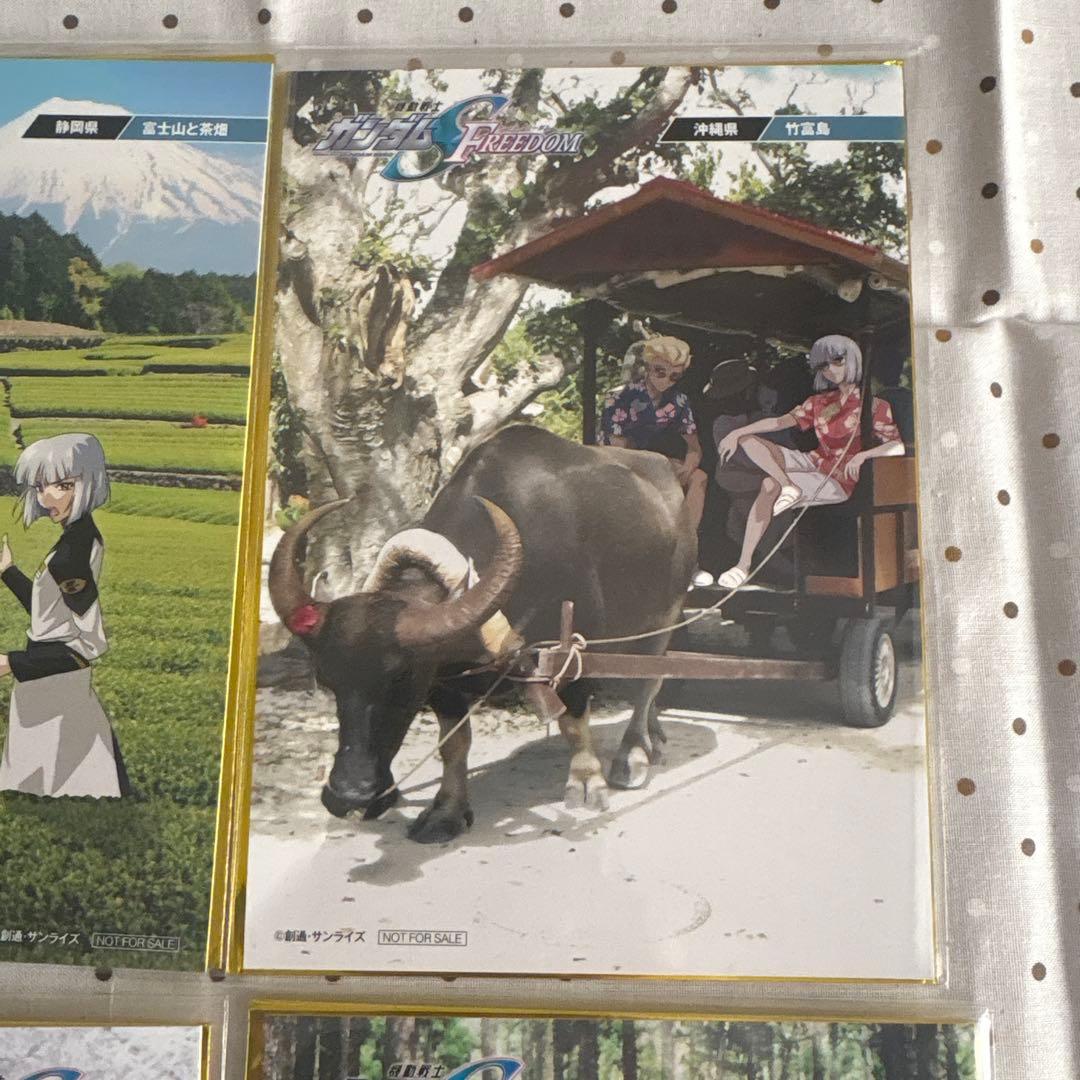 ガンダムSEED FREEDOM 入場特典 ご当地ポストカード