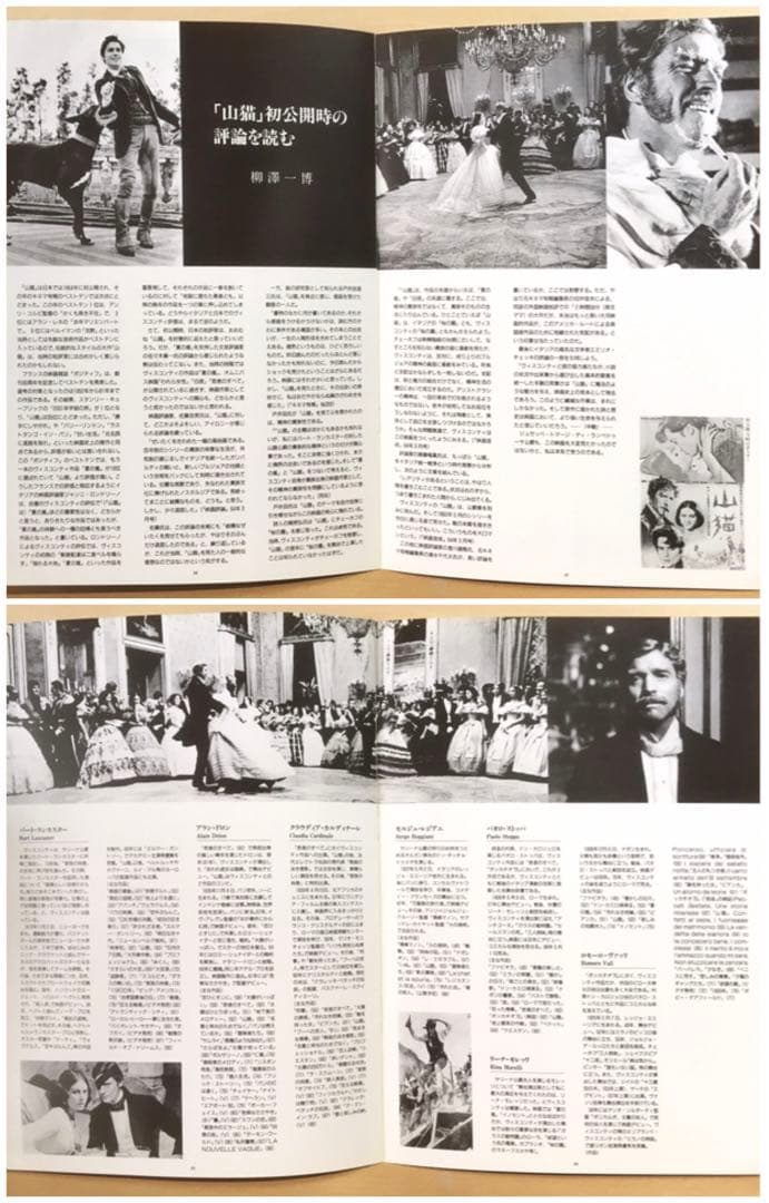 ヴィスコンティ『山猫』('63) セル版DVD(完全復元版BOX)＋パンフレット