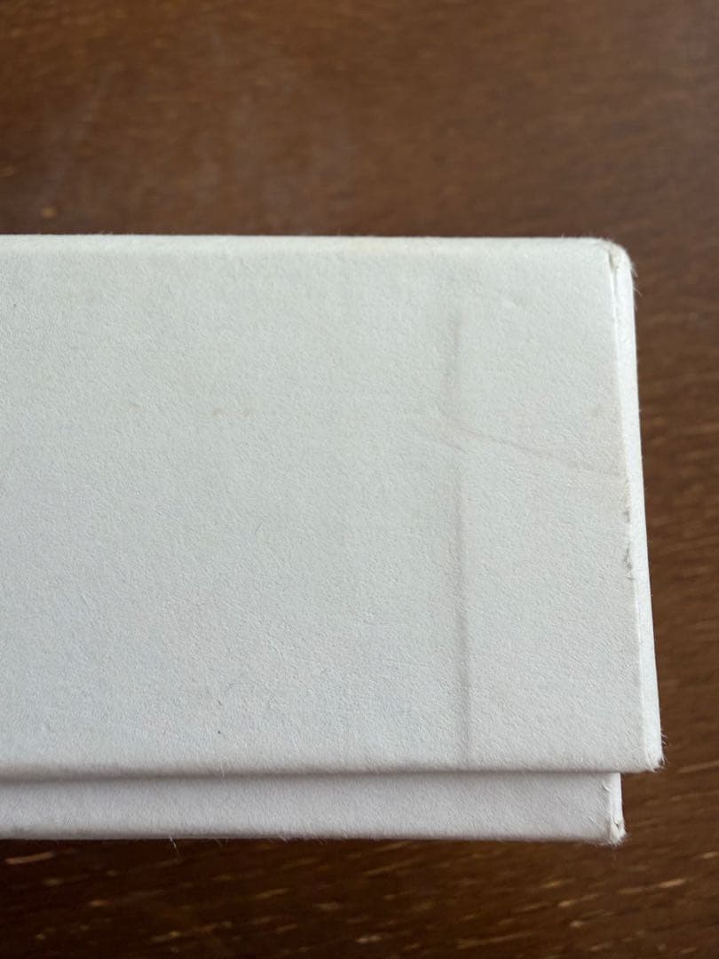 LOEWE アナグラムブローチ パラジウム　ロエベ　ブローチ　シルバー