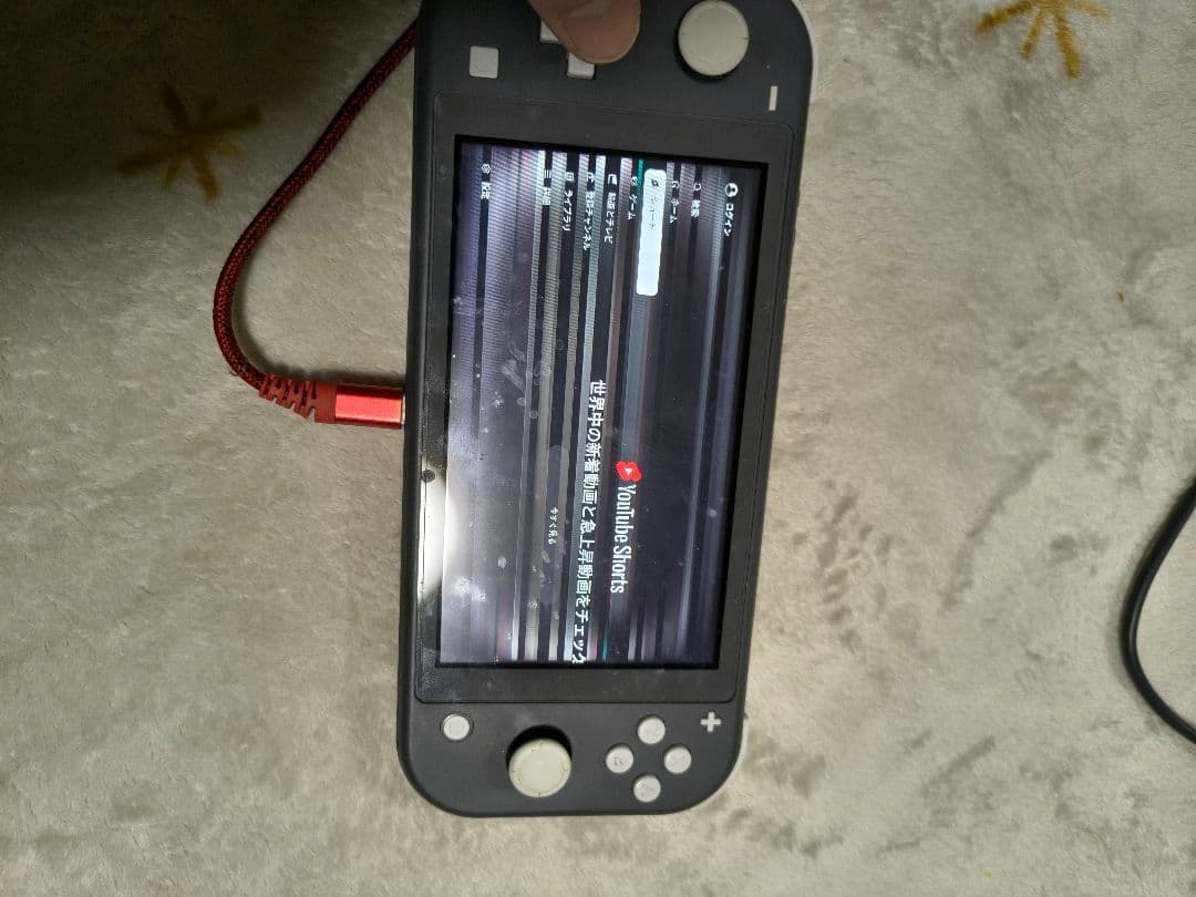 Switch　ライト　ジャンク　グレー