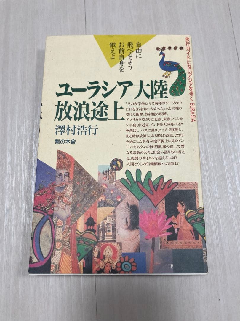 ユーラシア大陸放浪途上 (旅行ガイドにないアジアを歩く) 澤村浩行 梨の木舎