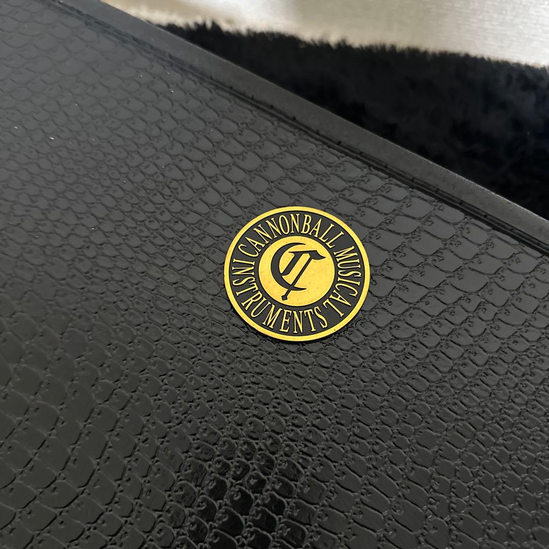 CANNONBALL アルトサックス用 ハードケース 管楽器 フライトケース