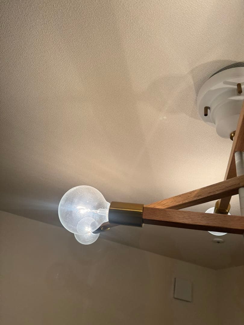 Astre baum 電球付