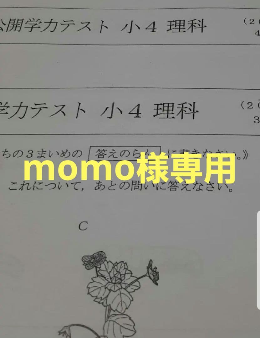 語学・辞書・学習参考書 momo