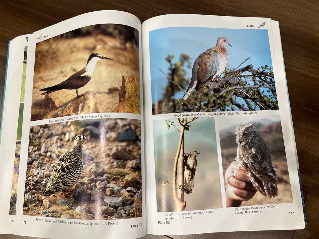 洋書 Fauna of the Socotra Archipelago Field