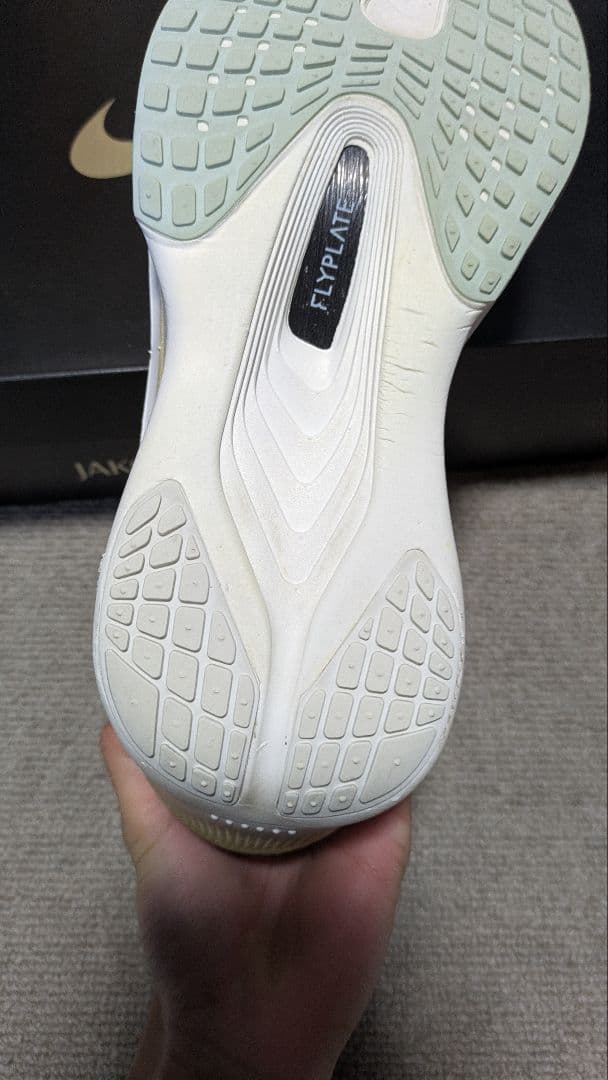 NIKE ズームフライ6 24.5