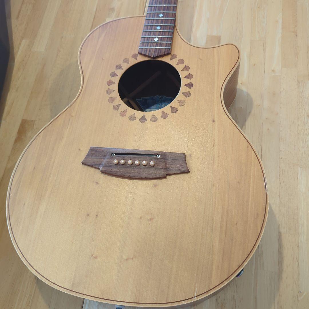 【最終値下げ】AN2AC-Custom COLE CLARK コールクラーク