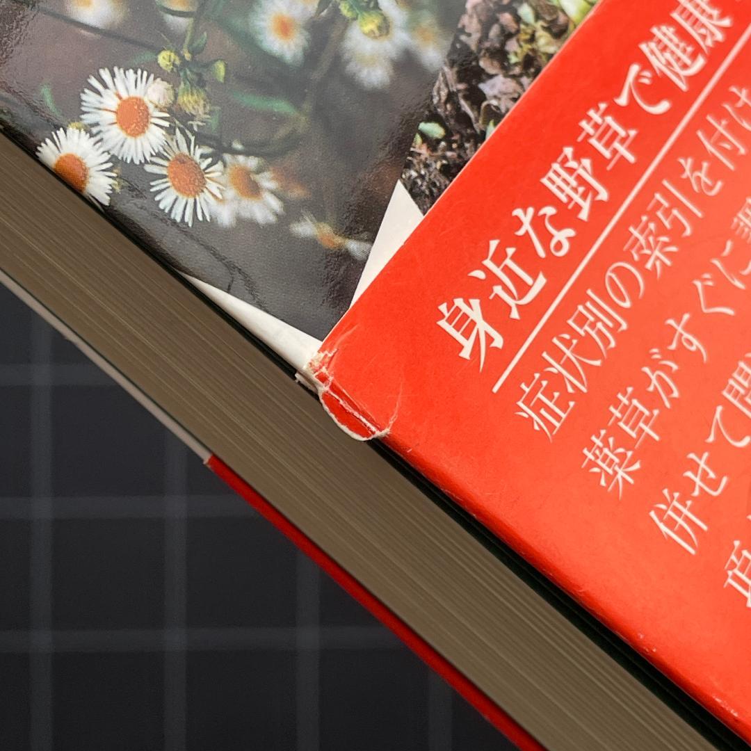 家庭で使える薬草107種　中村臣市郎