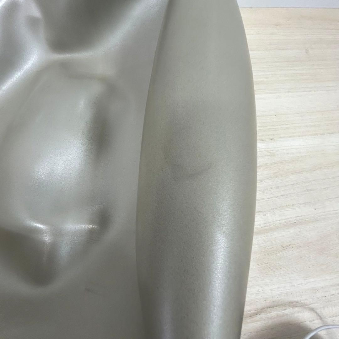 カバーとボールのみ　テクノジム　Technogym　バランスボール　カバーあり