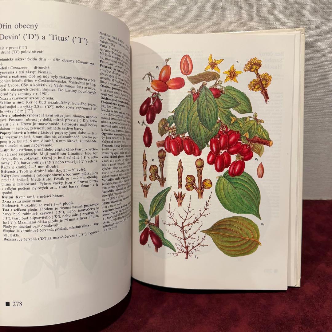 14⑧チェコ果物図鑑2冊セット　植物図鑑　ジャンクジャーナル　洋書　ボタンニカル