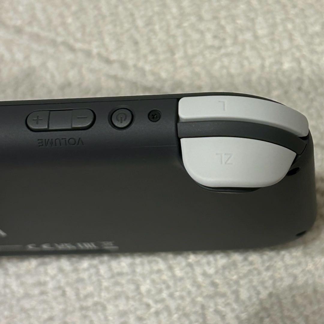 Switch Liteグレー 本体 /たまごっちプチプチおみせっちおまちど〜さま