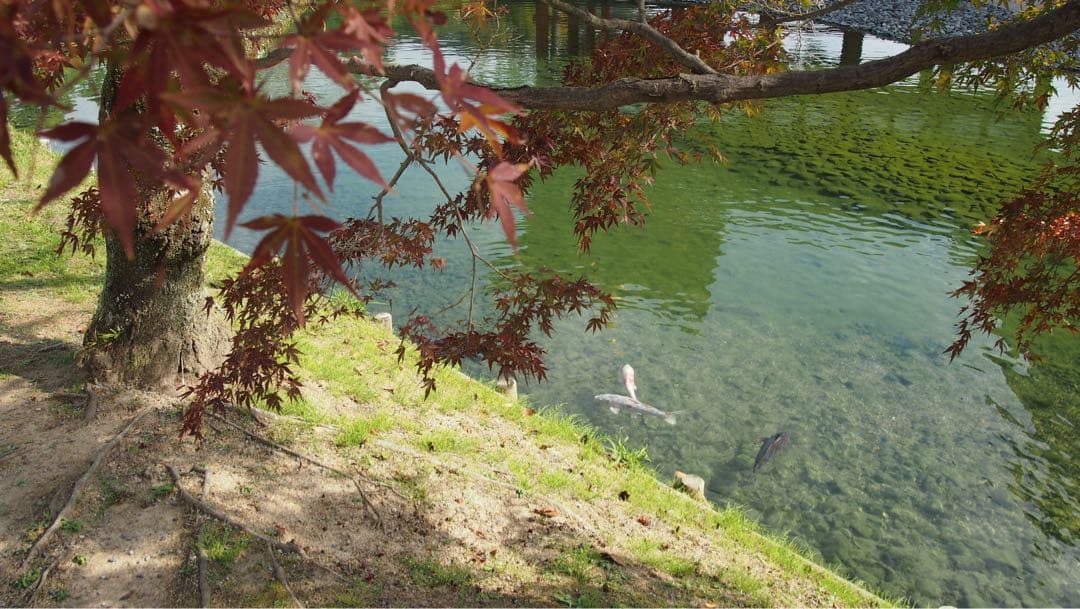 OLYMPUS E-PL3 ミラーレス一眼カメラ