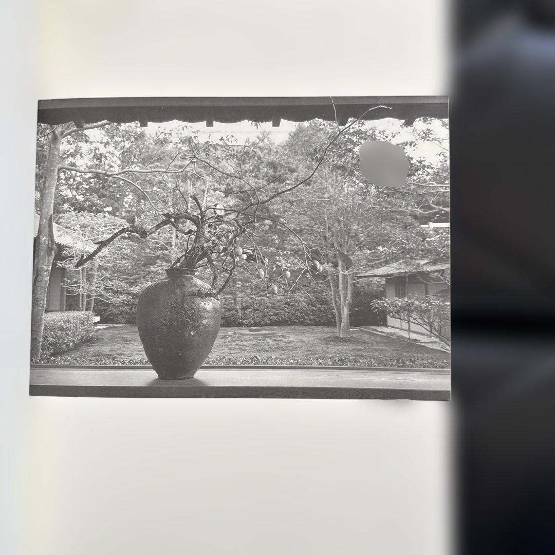 信楽　壺中の天