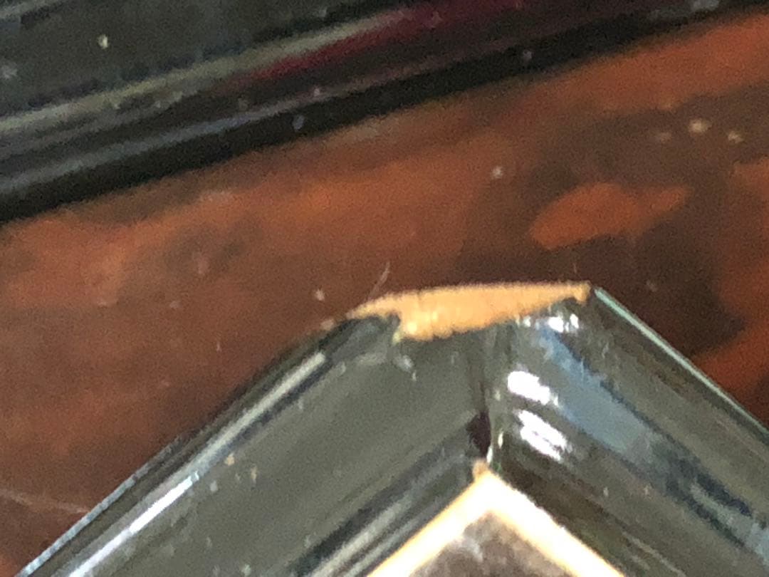 RITAOReuge Music スイス製オルゴール72弁ピアノ塗装