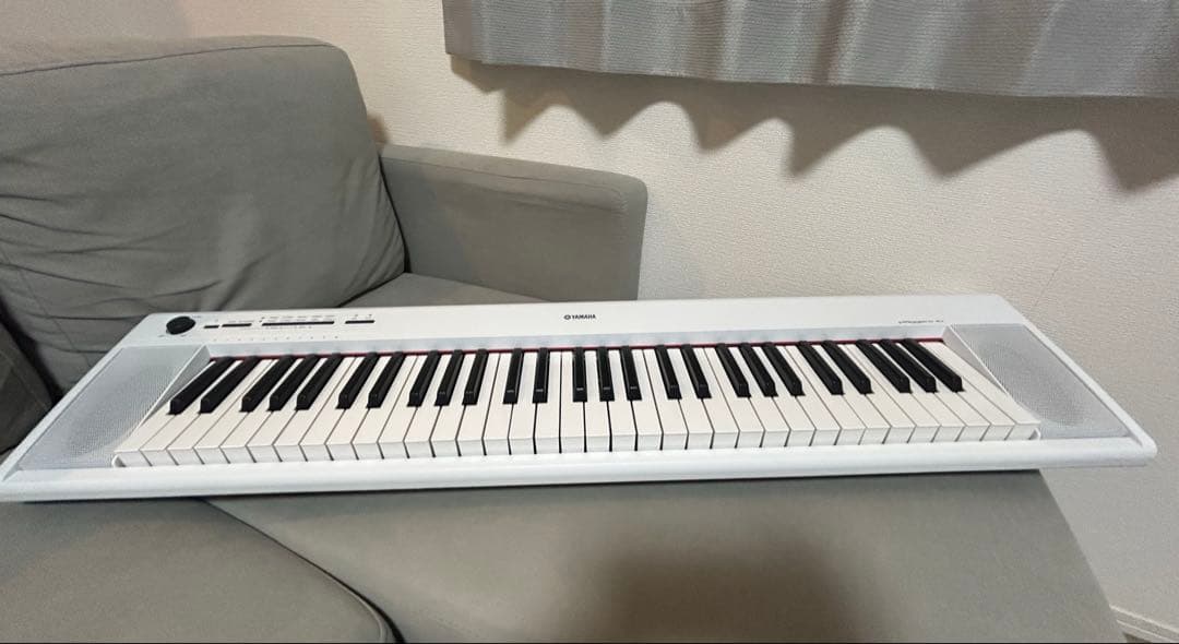 【ワカコ】YAMAHA Piaggero NP-12