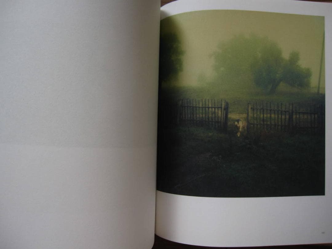 Bright, Bright Day　Andrey A. Tarkovsky