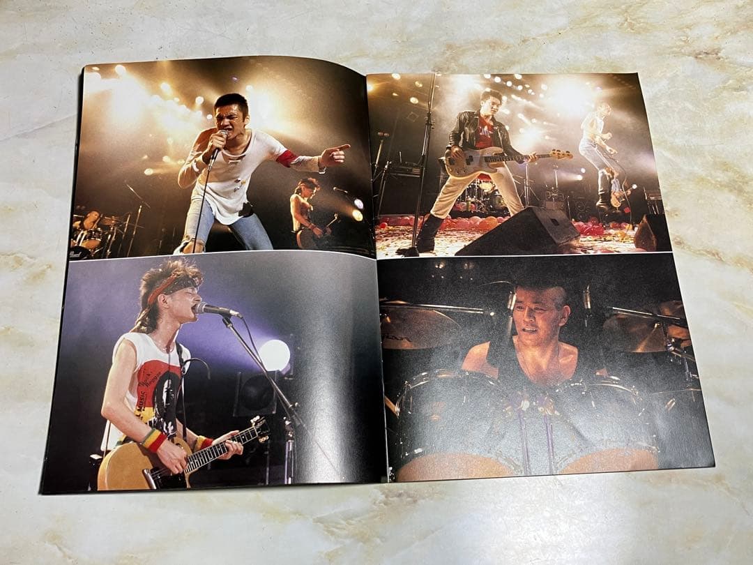 ザ・ブルーハーツ 希少グッズセット レコード VHS ツアータオル 腕章 バッヂ