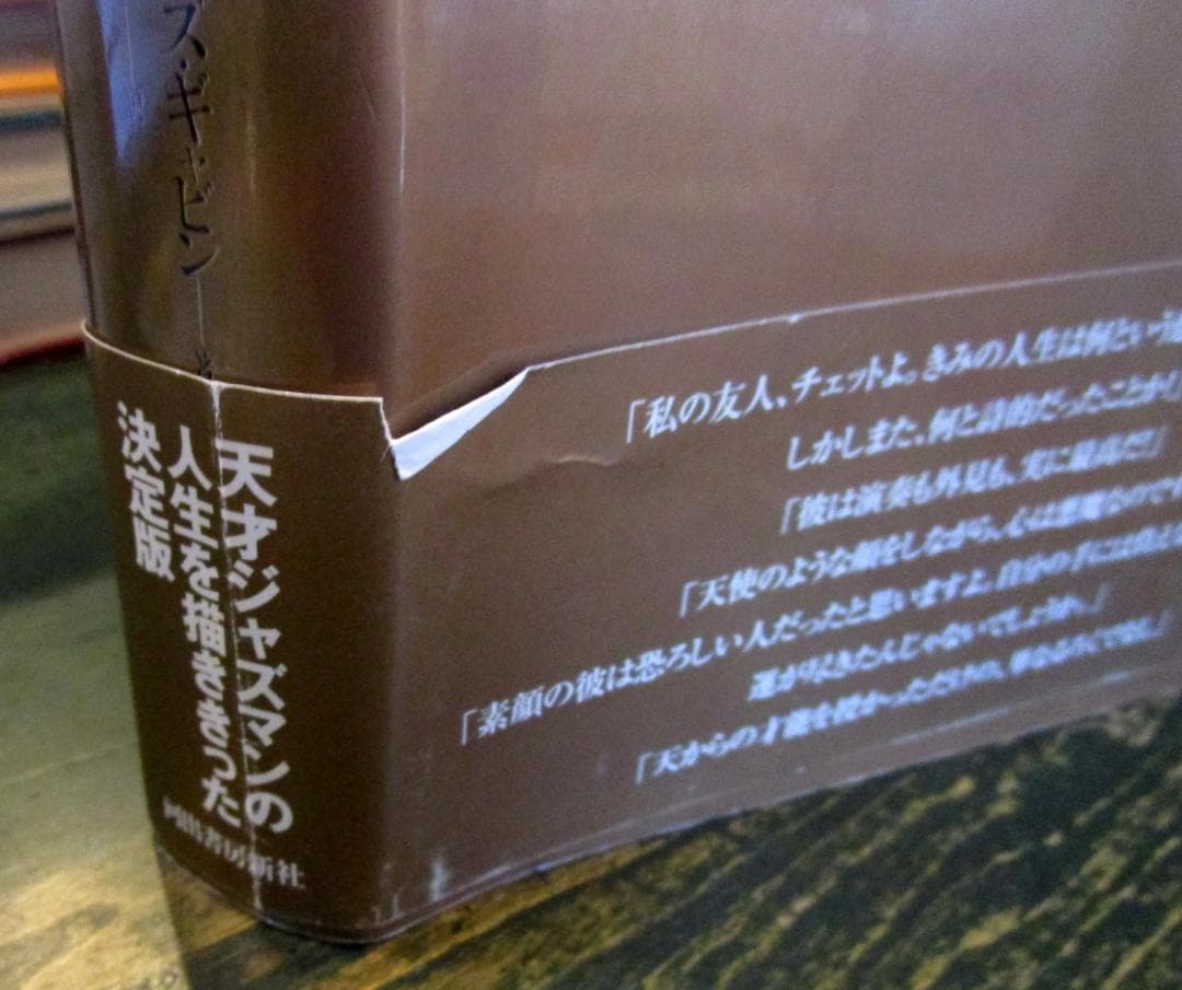 終わりなき闇 : チェット・ベイカーのすべて