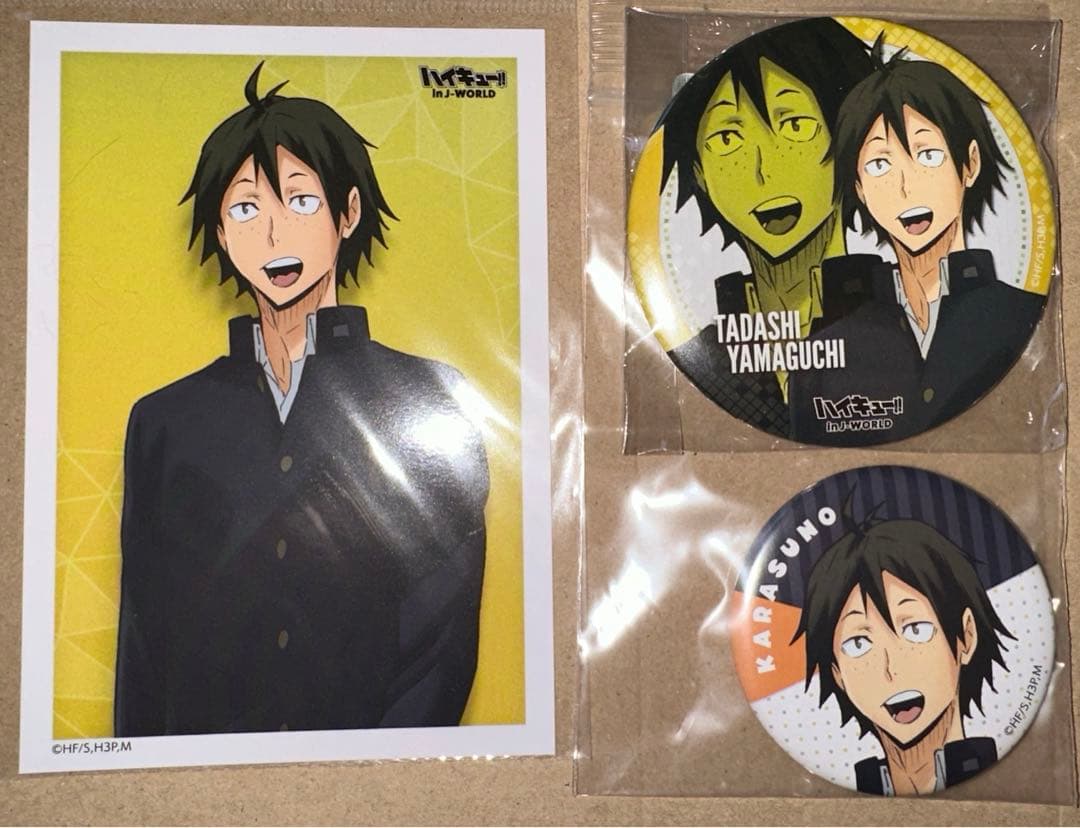 ハイキュー！inJ-World 山口忠セット