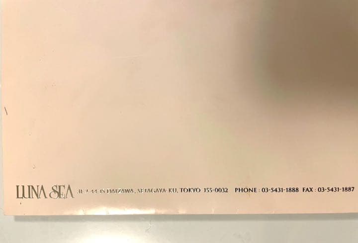 貴重限定■ LUNA SEA_再結成ライブ招待券&型押し封筒~東京ドーム~中古
