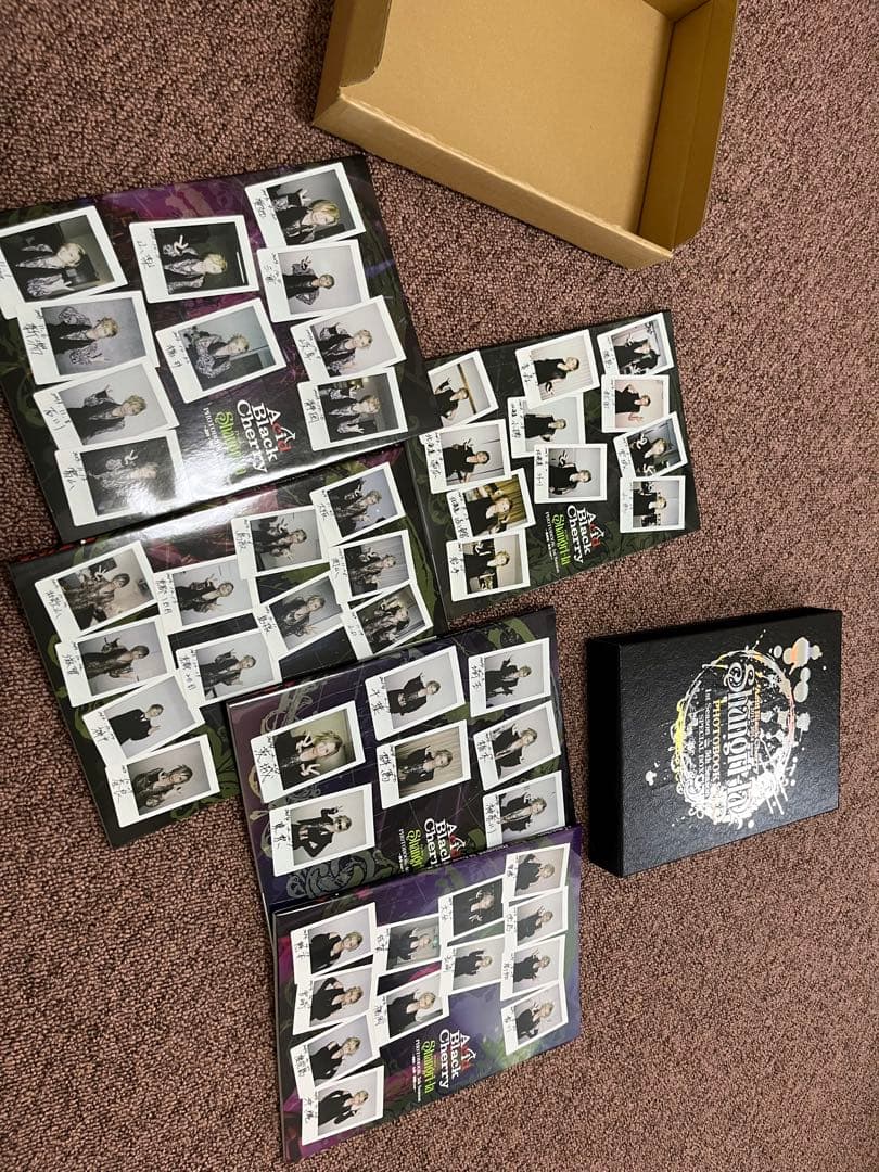 acid black cherry yasu 写真集